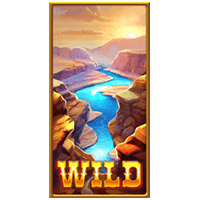 Wild Symbol